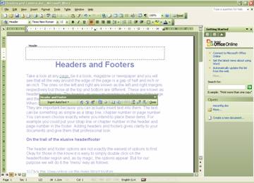 document info on the header and footer tools design tab